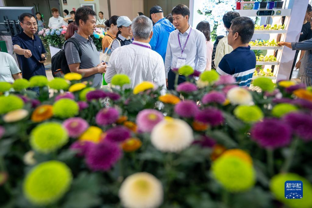 一块钱首充的游戏